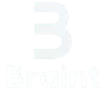 Braint3D